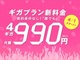 IIJmiouMKvvl@4GBtȂ猎z990~